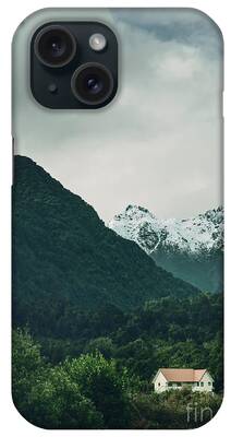 Fox Glacier iPhone Cases