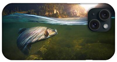 Sports Fish Photos iPhone Cases