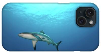 Gray Reef Shark iPhone Cases