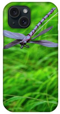 Dragonfly Garden Ornament iPhone Cases