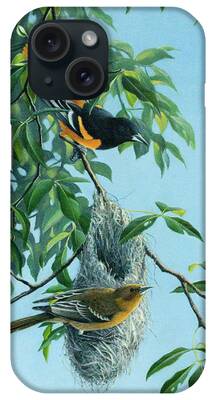 Oriole Paintings iPhone Cases