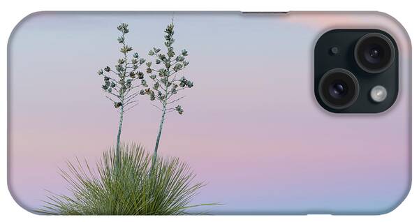 Beautiful Flowering Setting iPhone Cases