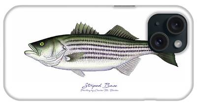 Striped Bass iPhone Cases