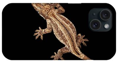 Reptiles iPhone Cases
