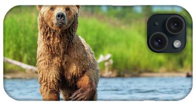 Katmai National Park iPhone Cases