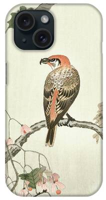 Crossbill iPhone Cases