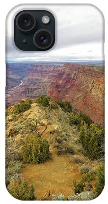 Desertview iPhone Cases