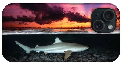 Reef Sharks iPhone Cases