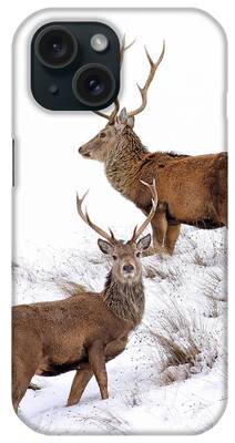 Deer In Snow iPhone Cases