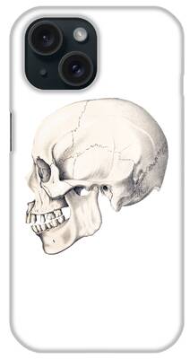 Anatomic iPhone Cases