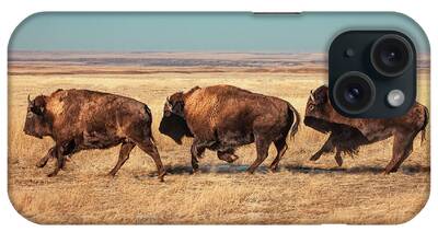 Montana Bison iPhone Cases