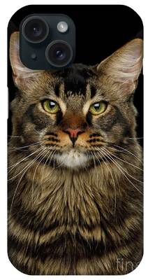 Main Coon iPhone Cases