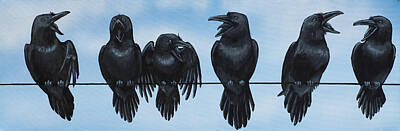 Avian Paintings Posters