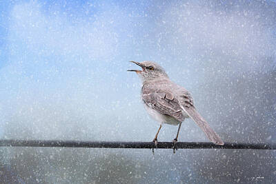 Mockingbird In The Snow Posters