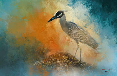 Yellow-crowned Night Heron Posters