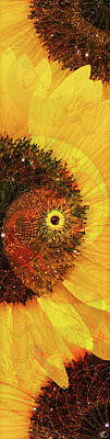 Girasole Posters