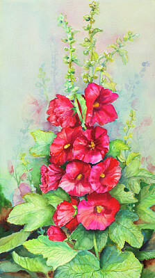 Red Hollyhocks Posters