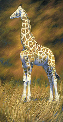 Rothschild Giraffe Posters