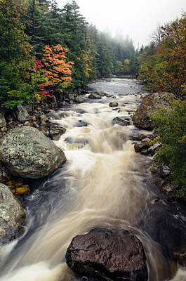 Fall Color And Rapids Posters