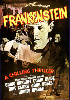Frankenstein 1931 FRIDGE MAGNET movie poster 