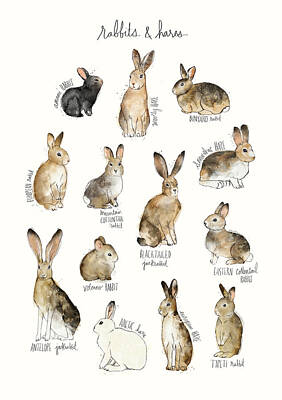 Hare Posters