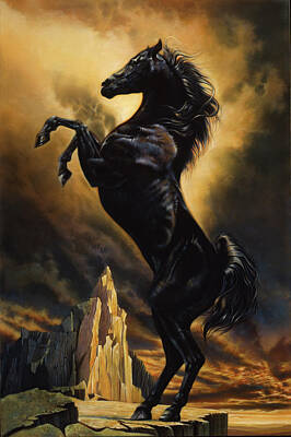 Beautiful Leaping Black Stallion Majestic Horse Photo Animal Poster Print 