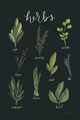 Thyme Drawings Posters