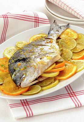 Striped Seabream Posters