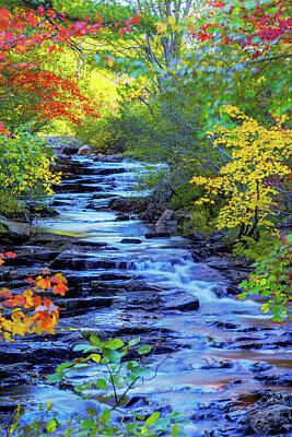 Acadia National Park Posters