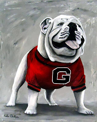 georgia bulldog pet apparel