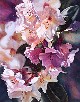 Peach Rhododendron Posters