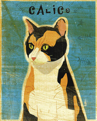 Calico Cat Pet Portrait Posters