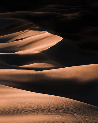 Sahara Sunlight Posters