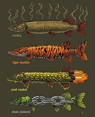 Tiger Muskie Digital Art Posters