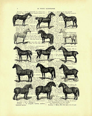 Equestrian Mixed Media Posters