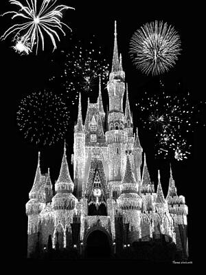 Disneyworld Cinderella Castle Fireworks Spectacular POSTER 24 X 36 Inches 
