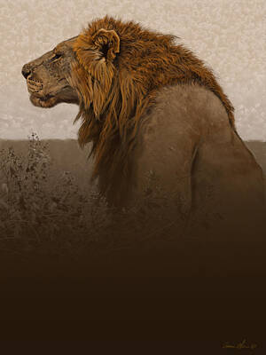 Lion Posters