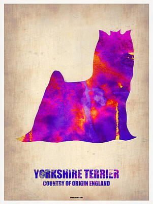 Yorkshire Terrier Watercolor Posters