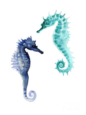Seahorse Posters
