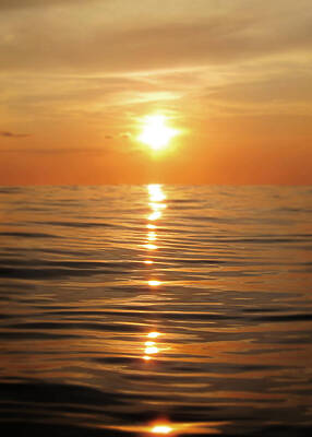 Designs Similar to Sun setting over calm waters