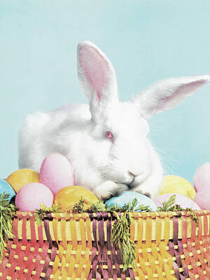 Easter Basket Posters