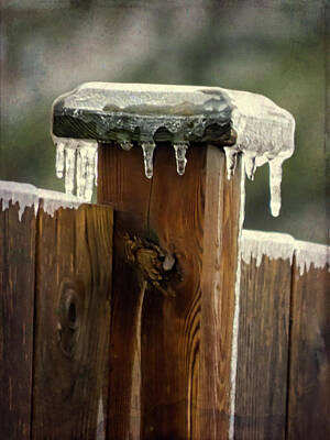 Fence Post Posters