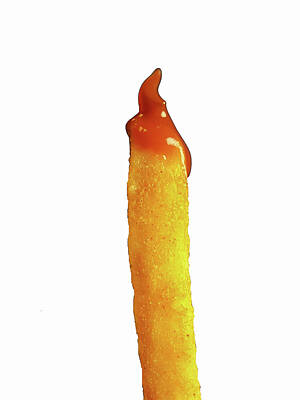 French Fries Photos Posters