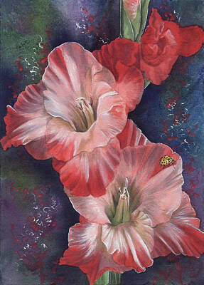 Gladiola Posters