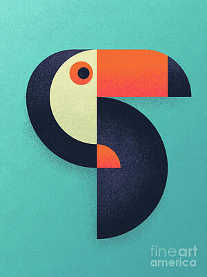 Toucan Posters