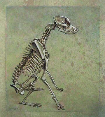Animal Skeleton Posters