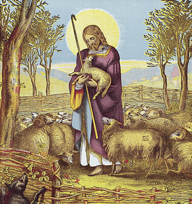 Jesus Shepherd Drawings Posters