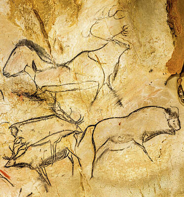 Lascaux Cave Painting Ancient Nice Print Art Silk Wall Poster 13x20 24x36 inch 