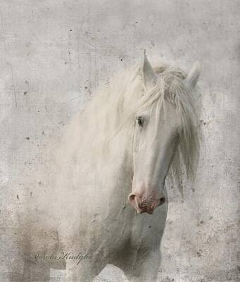 White Horse Posters
