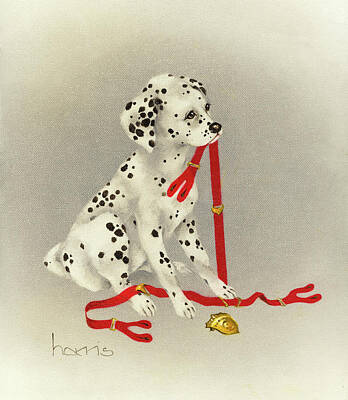 Dalmation Posters